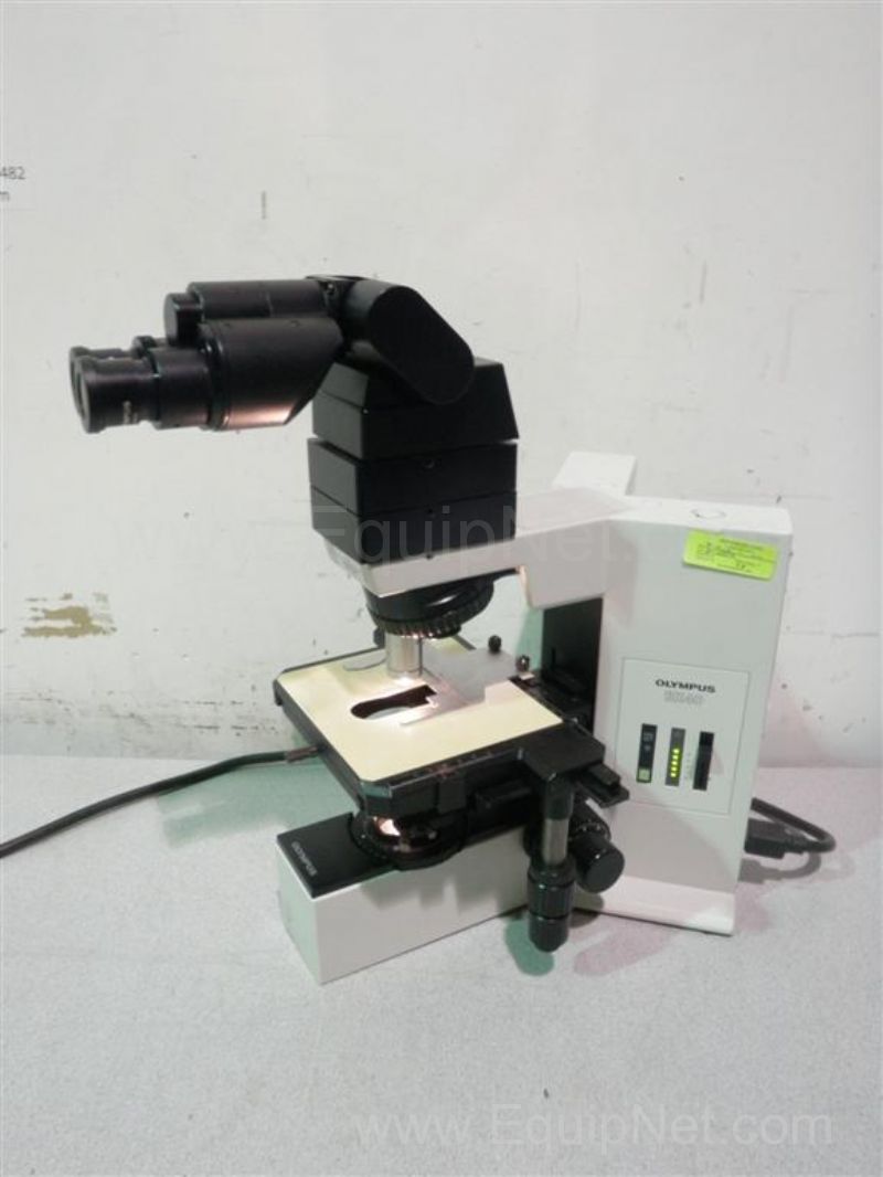 Olympus BX40F-3 Microscope