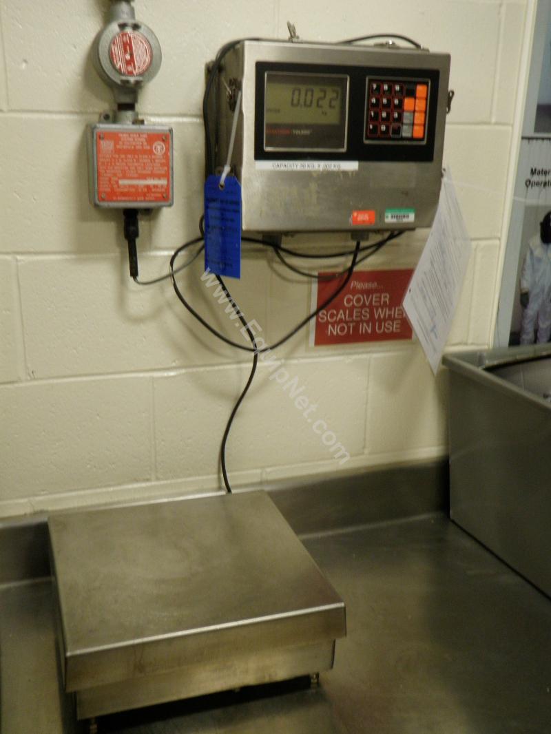 Toledo/Masstron Stainless Steel Platform Scale
