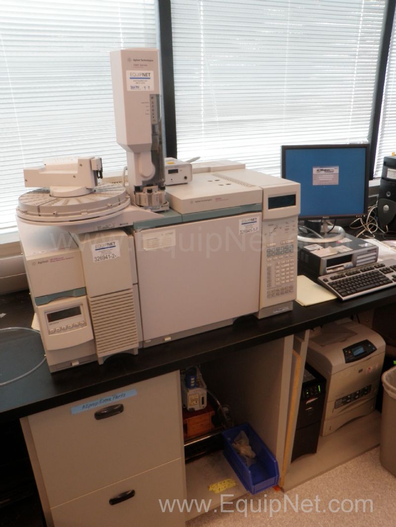 Agilent 6890N Gas Chromatograph with 5973N Mass Selective Detector