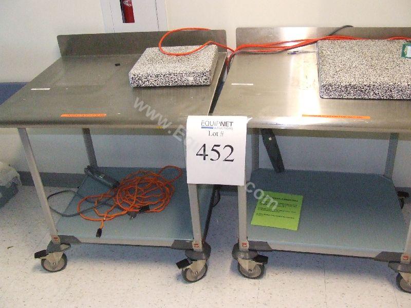 Lot of (2) Stainless Steel Rolling Carts with (2) Balance Blocks