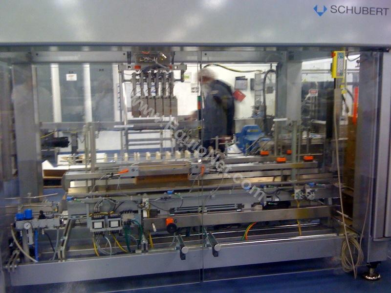 Schubert TLM Robotic Case Packer