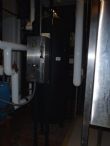 Listing #315320