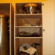 Listing #280741