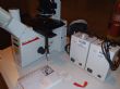 Listing #316032