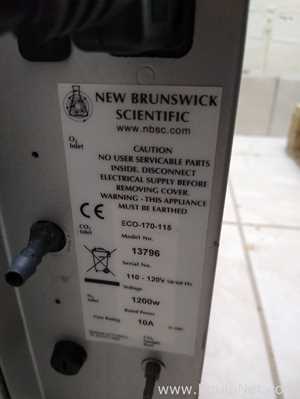 新布伦瑞克科学eco - 170 - 115孵化器