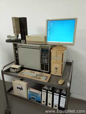Cromatógrafo de Gas CG Hewlett Packard 5890 Series II