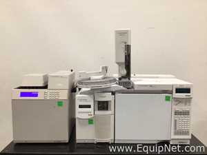 Agilent 6890N Network Gas Chromatograph with 5975B VL MSD and G1888 Network Headspace Autosampler