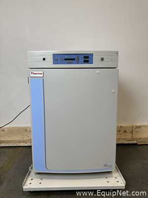 Incubadora Thermo Scientific 370
