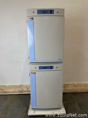Incubadora Thermo Scientific 370