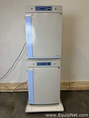 Incubadora Thermo Scientific 370