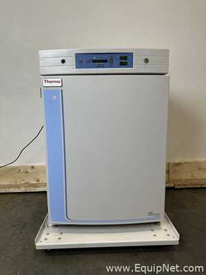 Incubadora Thermo Scientific 370
