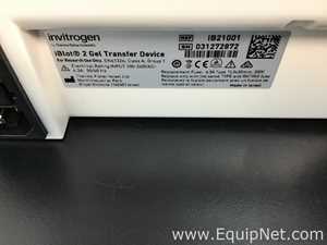 Lote de 2 Electroforesis Various 