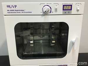Horno de Laboratorio UVP HL-2000