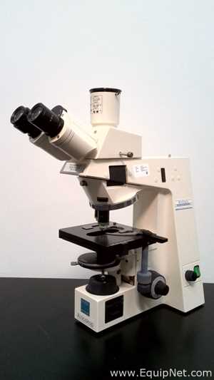 Microscopio Carl Zeiss Axioskop EL-Einsatz