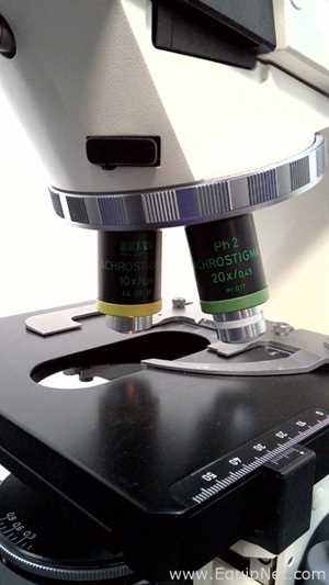 Microscopio Carl Zeiss Axioskop EL-Einsatz