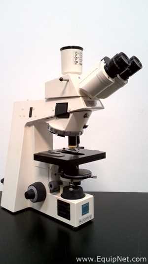 Microscopio Carl Zeiss Axioskop EL-Einsatz