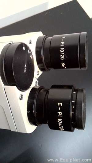 Microscopio Carl Zeiss Axioskop EL-Einsatz