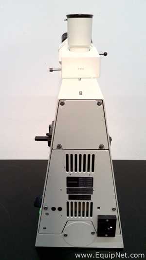Microscopio Carl Zeiss Axioskop EL-Einsatz