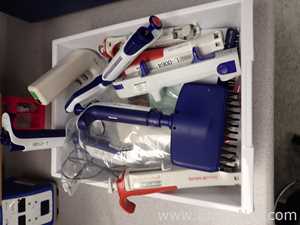 lote de  15 Pipetador Various 