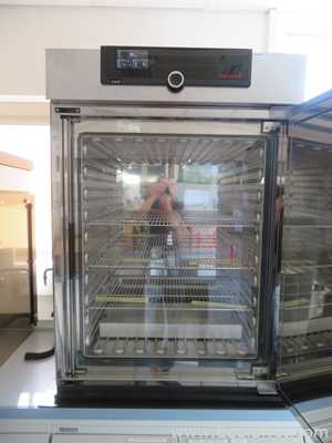 Memmert GmbH and Co. KG IN260 Laboratory Incubator- R and D