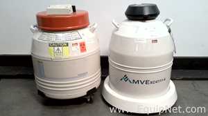 Lot of Liquid Nitrogen Transport Dewars