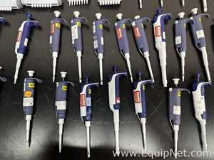 lote de   Pipetador Rainin 
