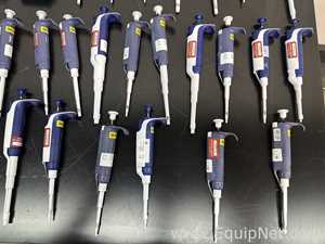 lote de   Pipetador Rainin 
