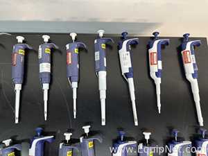 lote de   Pipetador Rainin 