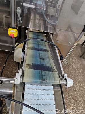 Dorner 732M100300A2202 Conveyor