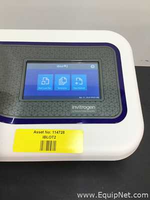 Electroforesis Invitrogen iBlot 2