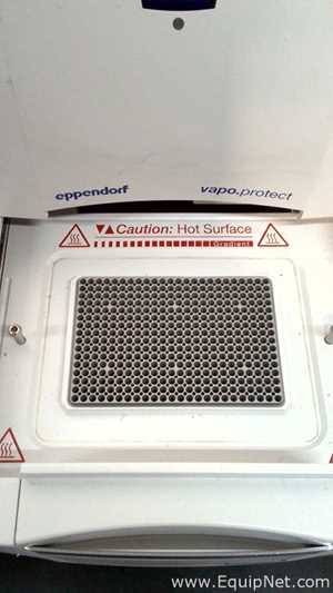 PCR e Termociclador Eppendorf Mastercycler Pro 384