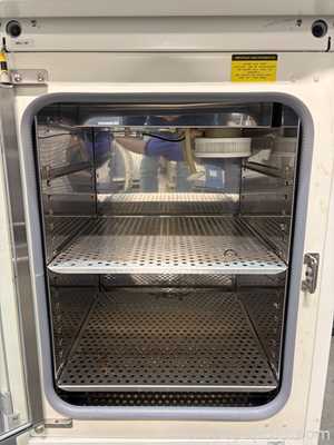 Incubadora Thermo Electron Corporation 3589