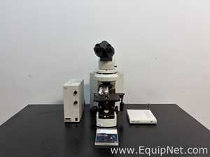 Microscópio Nikon Eclipse 80i