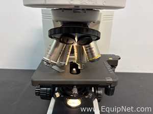 Microscópio Nikon Eclipse 80i