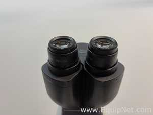 Microscópio Nikon Eclipse 80i