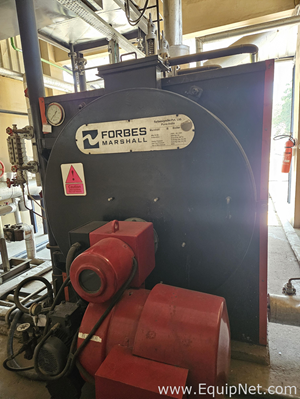 Aquecedor a Gás, Óleo, Carvão, Eletricidade Forbes Vyncke Pvt. Ltd. 2TPH