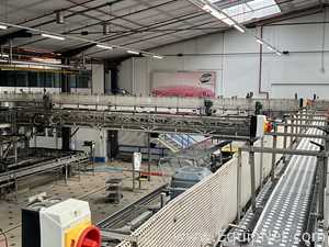 Anduze Overhead Conveyor Belt from Tray Packer to Palletiser - Line 3