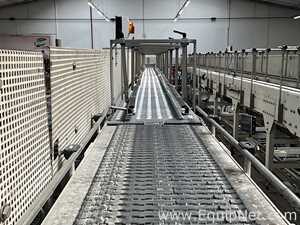 Anduze Overhead Conveyor Belt from Tray Packer to Palletiser - Line 3