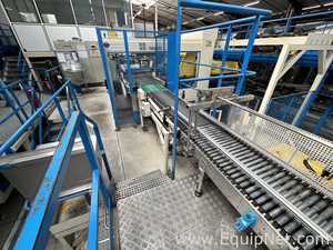 Linhas de Paletizador e Despaletizador Newtec PAL-PACK 4700. novo