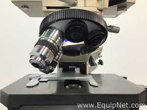 Microscópio Olympus BH2-RFCA