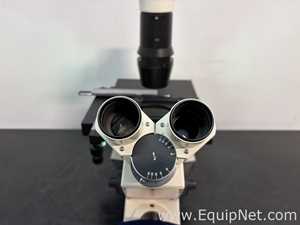 Microscópio Carl Zeiss Axiovert 40 CFL