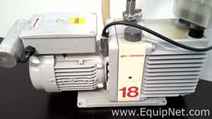 Bomba de Vacío Edwards E1M18