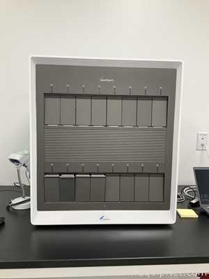 Analisador Cepheid GeneExpert XVI 