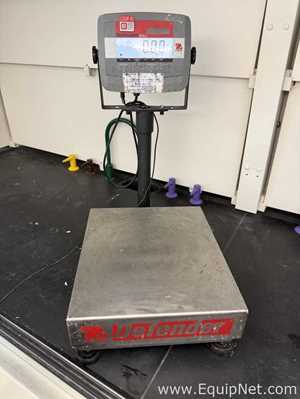 Ohaus T31P Floor Bench Scale