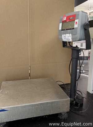 Ohaus T31P Floor Bench Scale