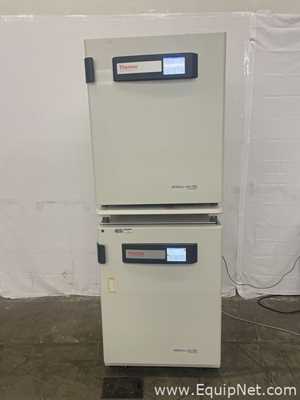 Incubadora Thermo Scientific HERAcell Vios 250i