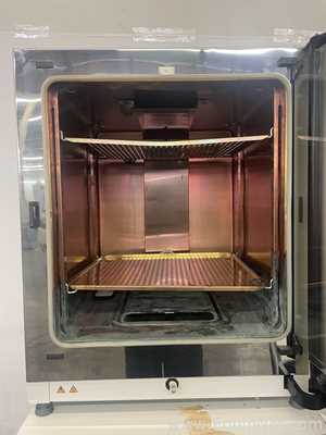 Incubadora Thermo Scientific HERAcell Vios 250i