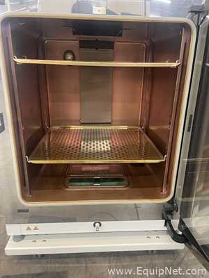 Incubadora Thermo Scientific HERAcell Vios 250i