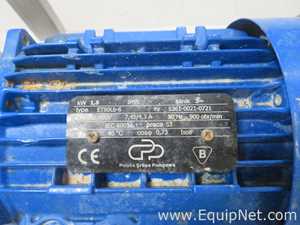 Liverani EP Minor Flexible Impeller Pump
