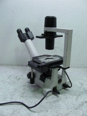 Microscópio Nikon Eclipse TS100
